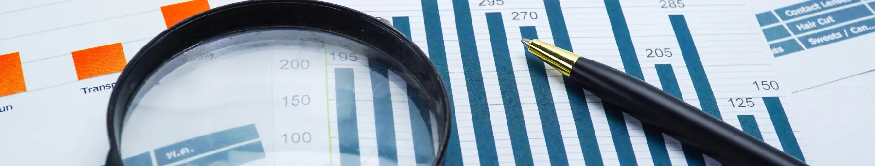 Magnifying Glass and Spreadsheet